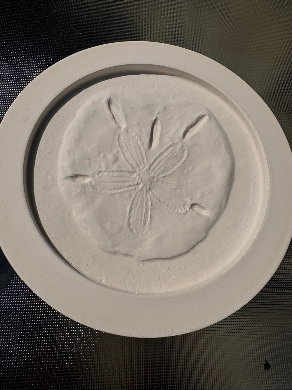 Handcrafted White Sand Dollar Coasters